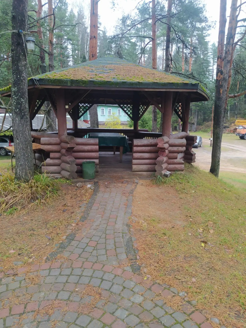 Динамо