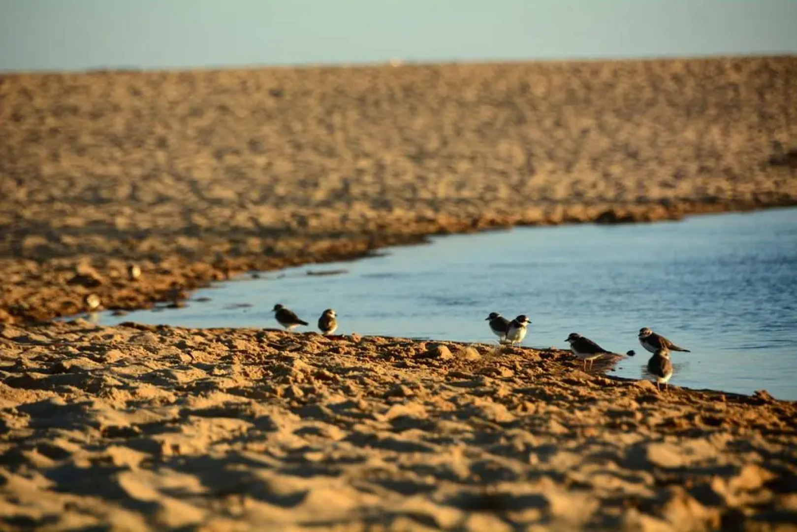 Hotel Resort Costa Dos Coqueiros