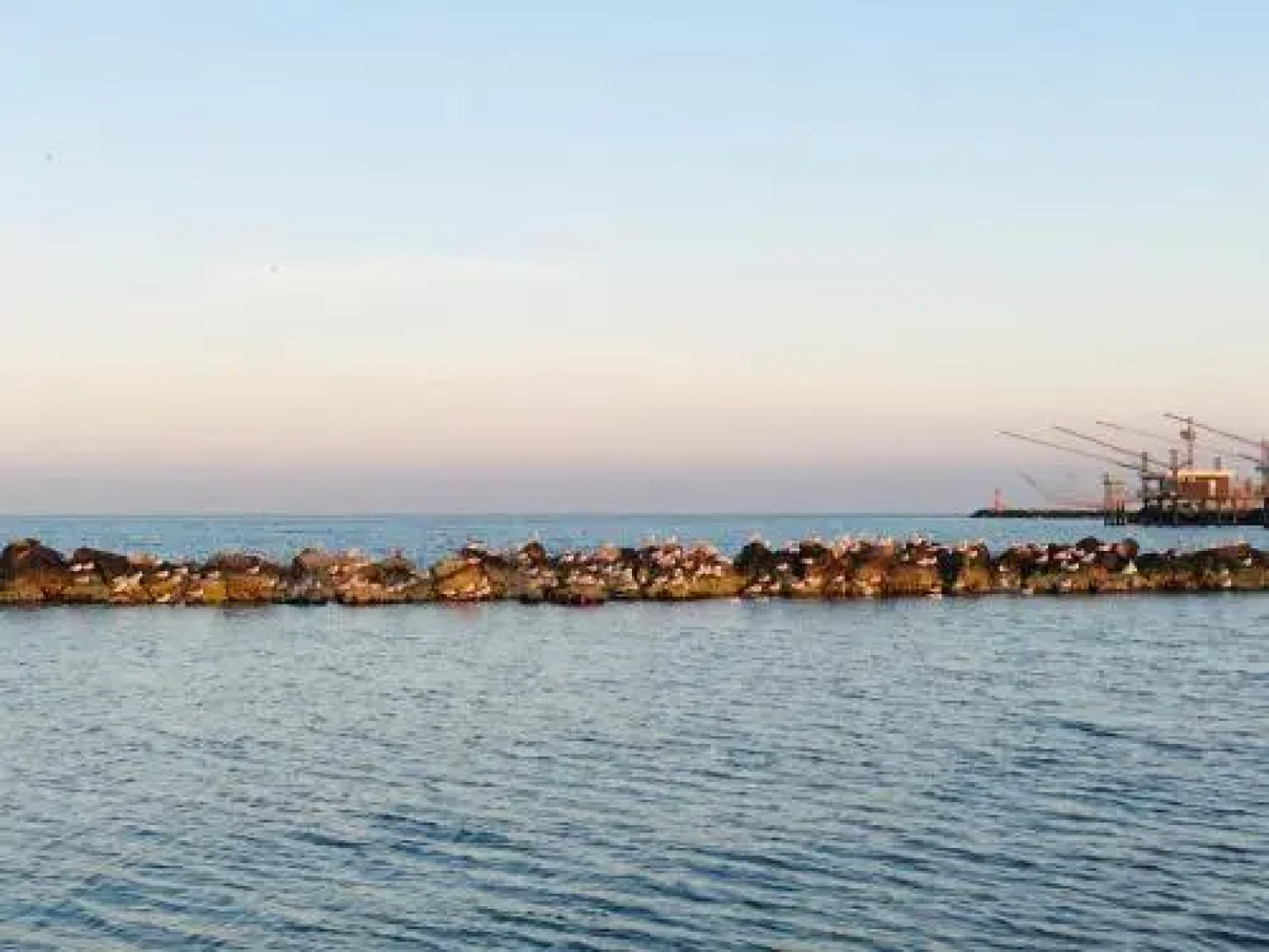 Res. Michelangelo Resort 252S