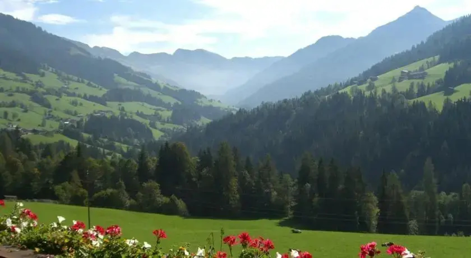 Appartementhaus Schmetterling