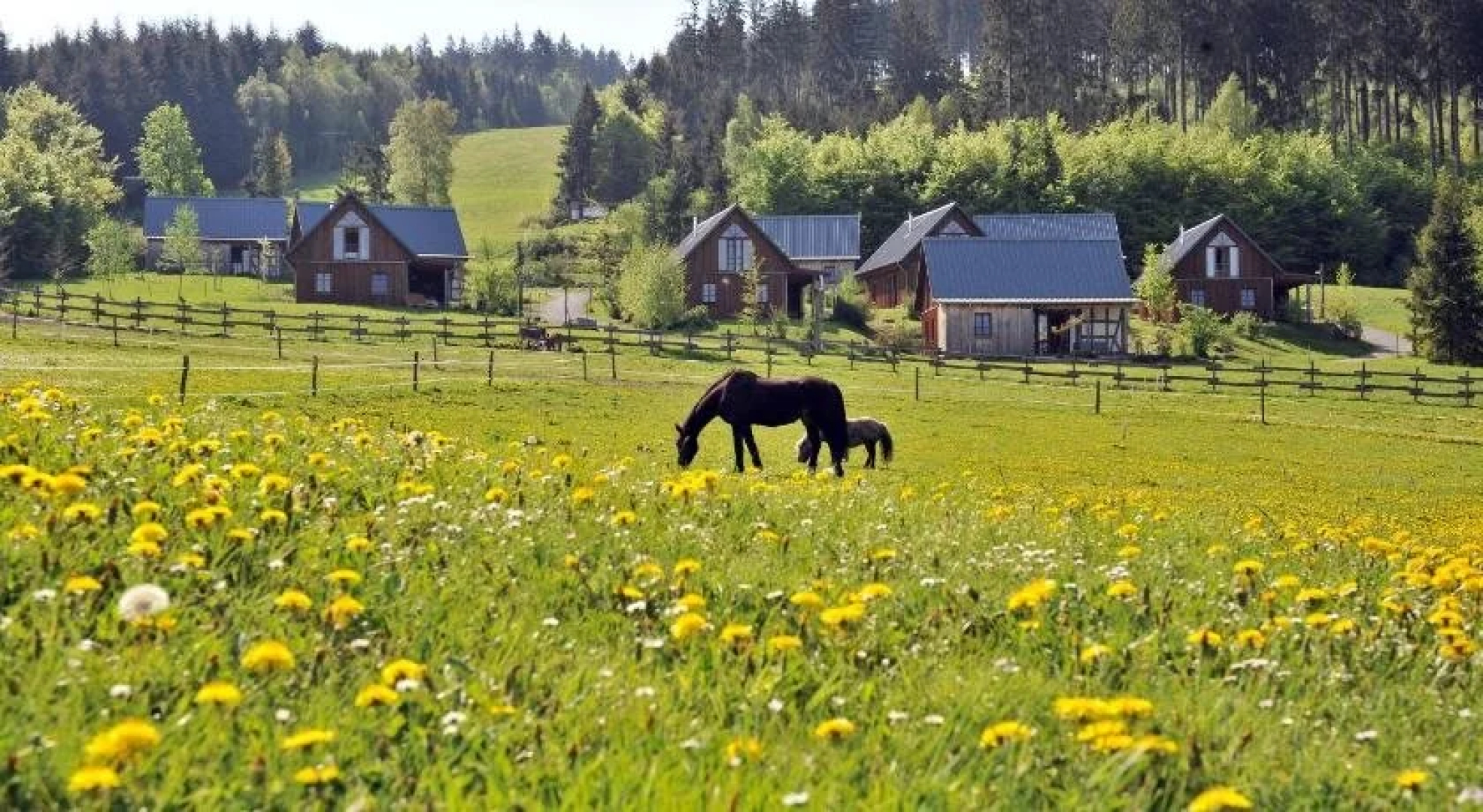 Bergdorf Liebesgrün
