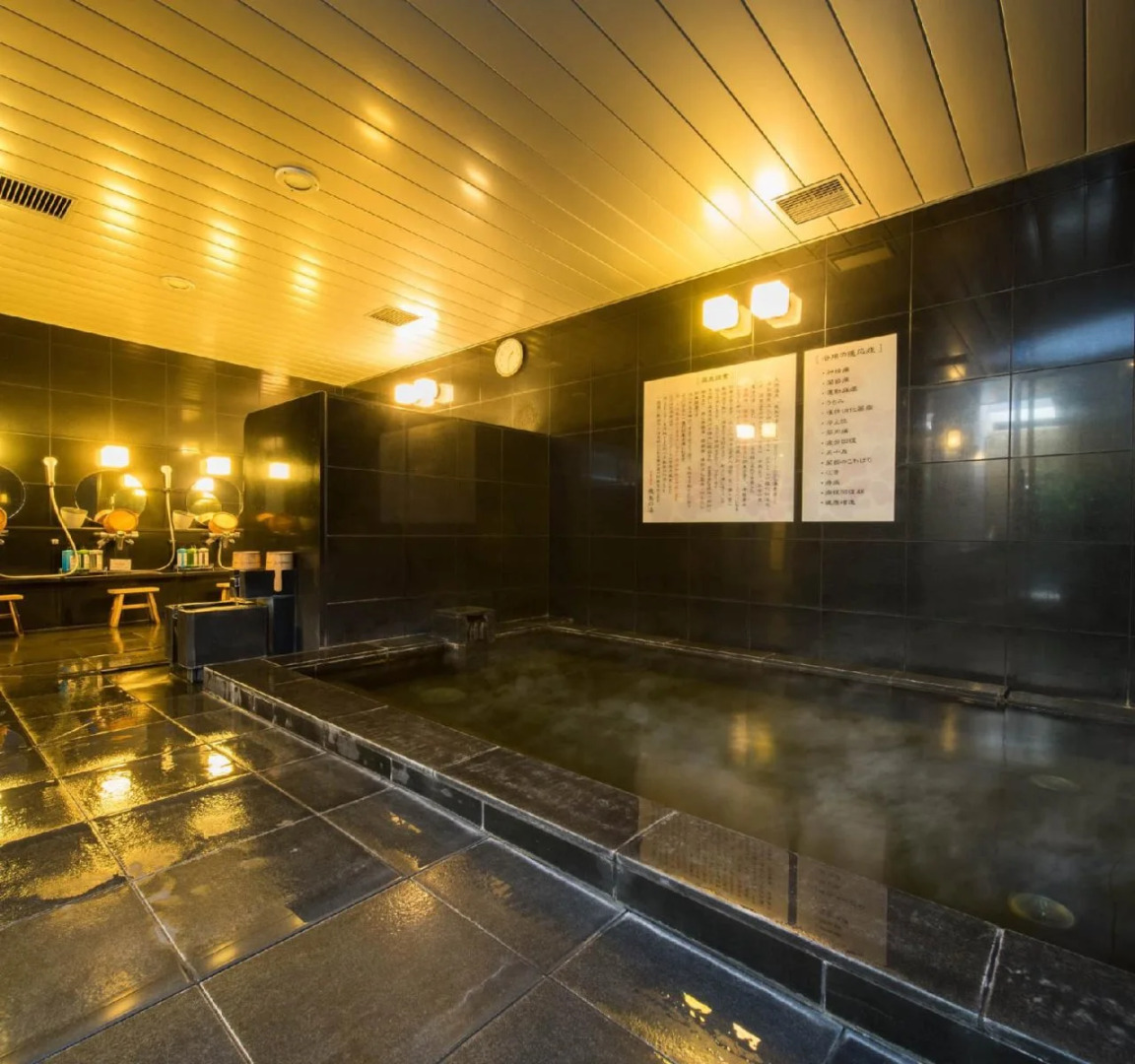 SUPER HOTEL Premier JR Nara Station