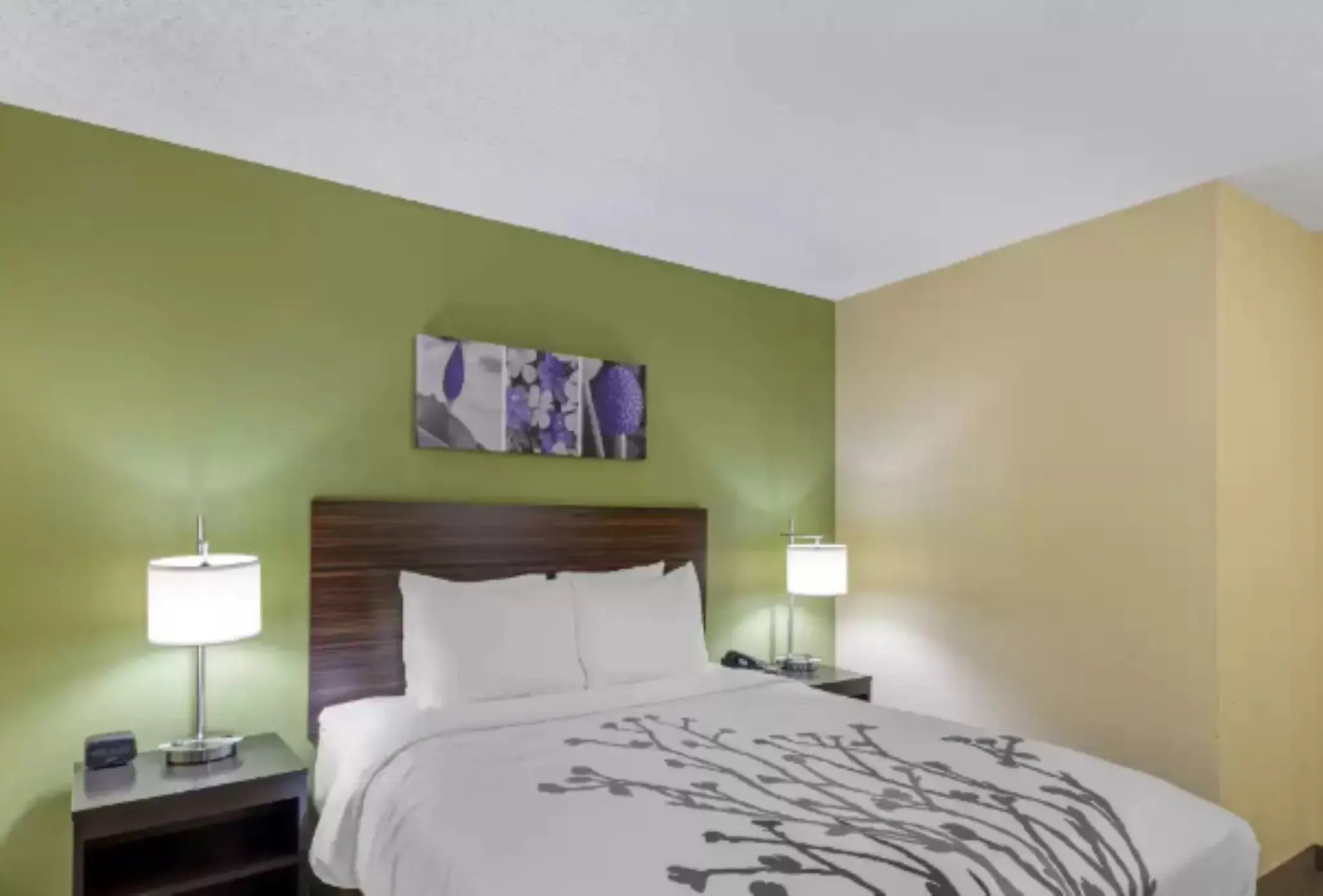 Sleep Inn Denver Tech Center