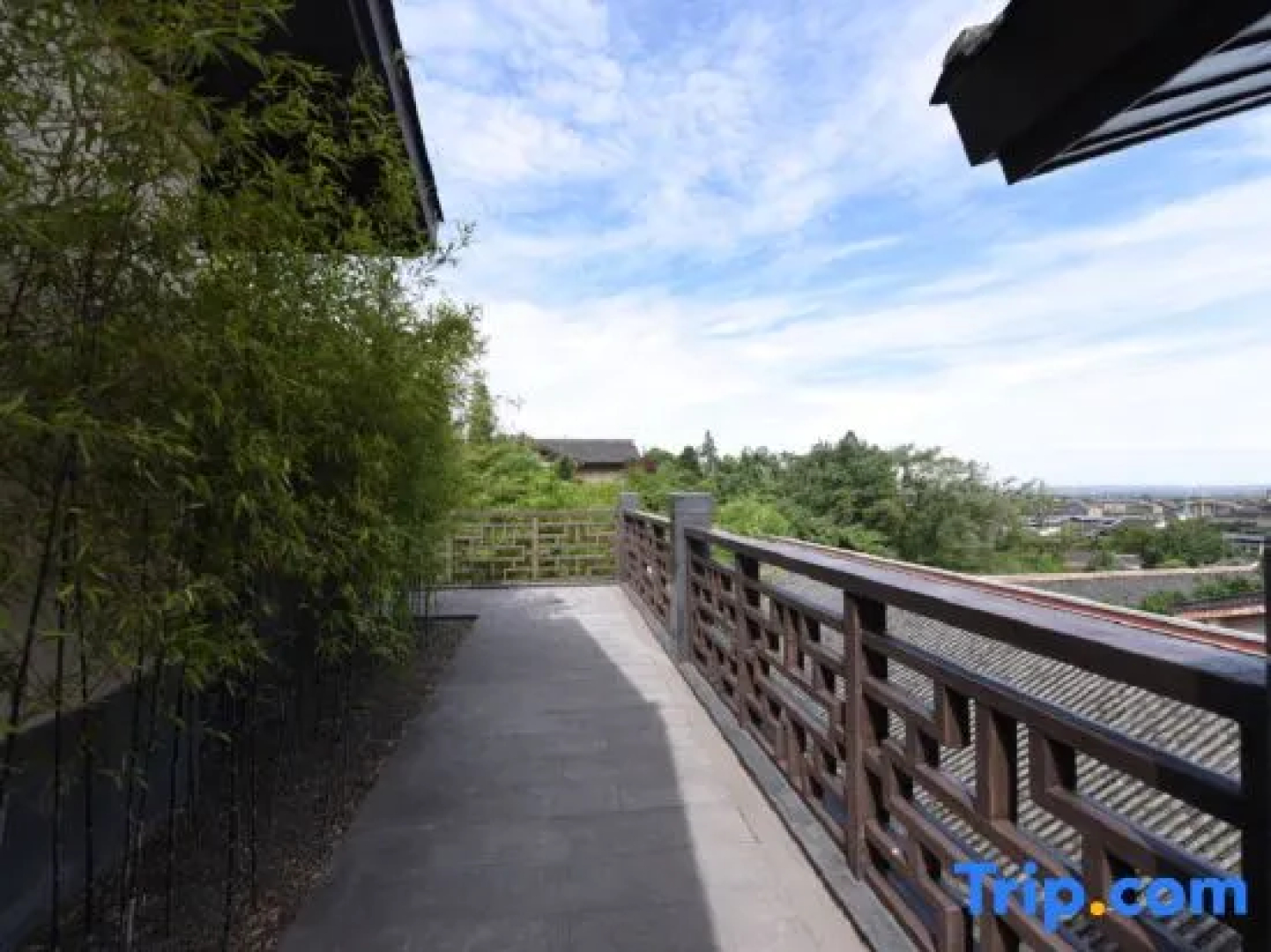 Mount Emei View Hot Spring Soup House