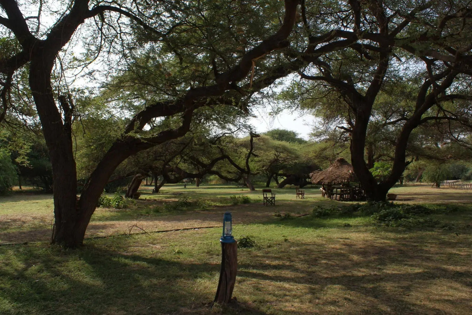 Lake Natron Tented Camp