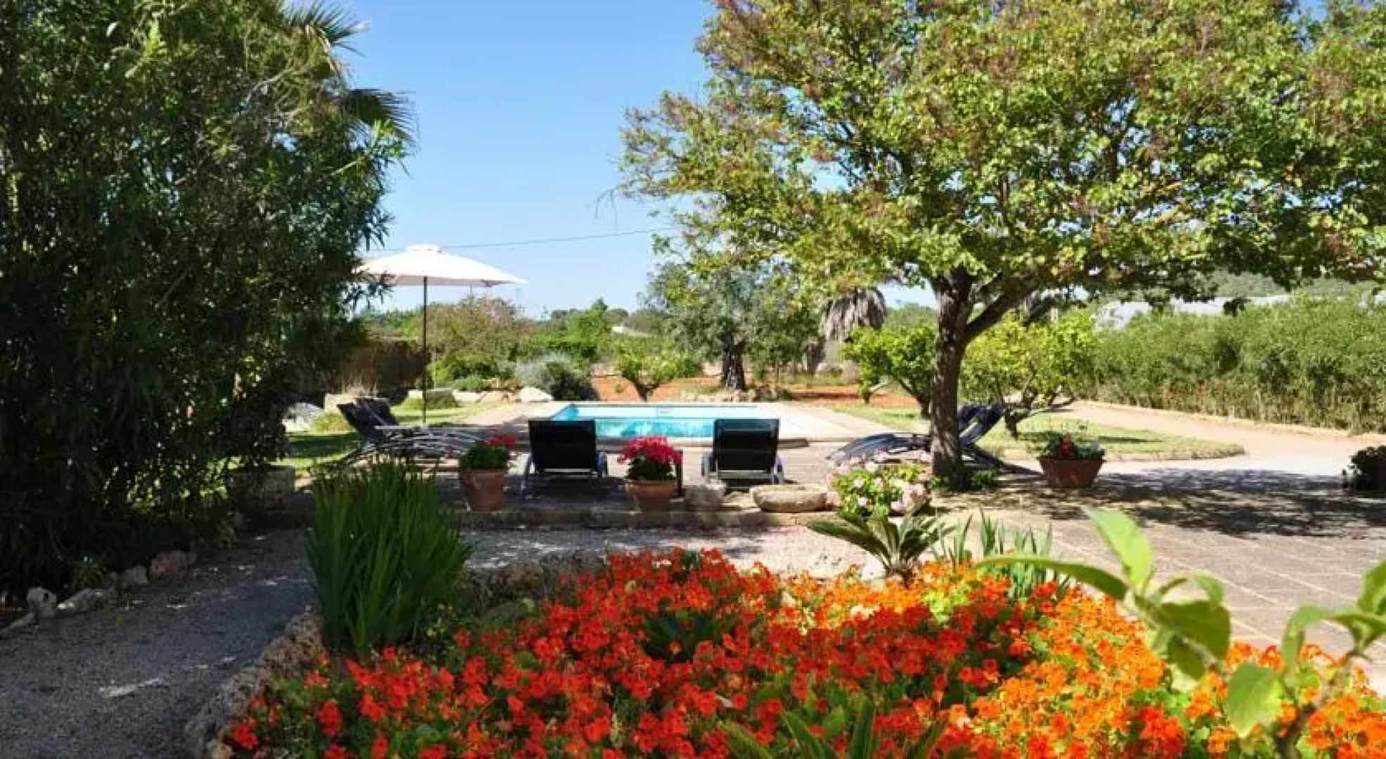 Camp Roig