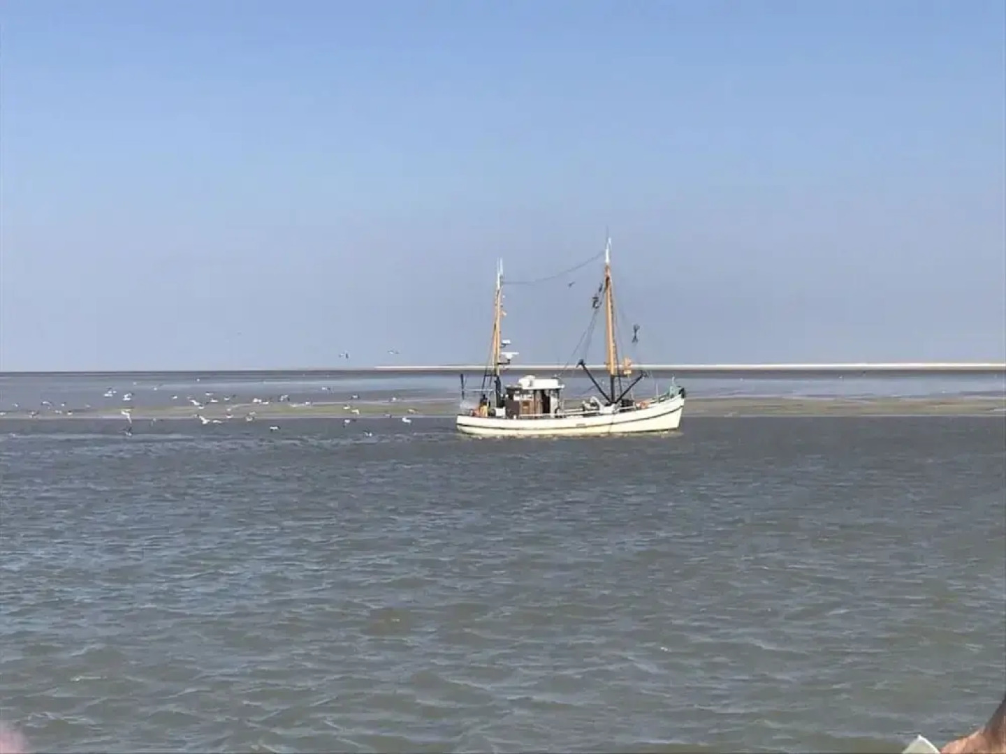 Graft View by the sea