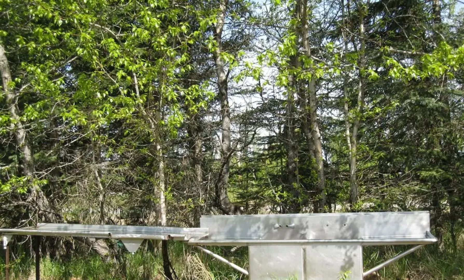 Whispering Winds Retreat B&B