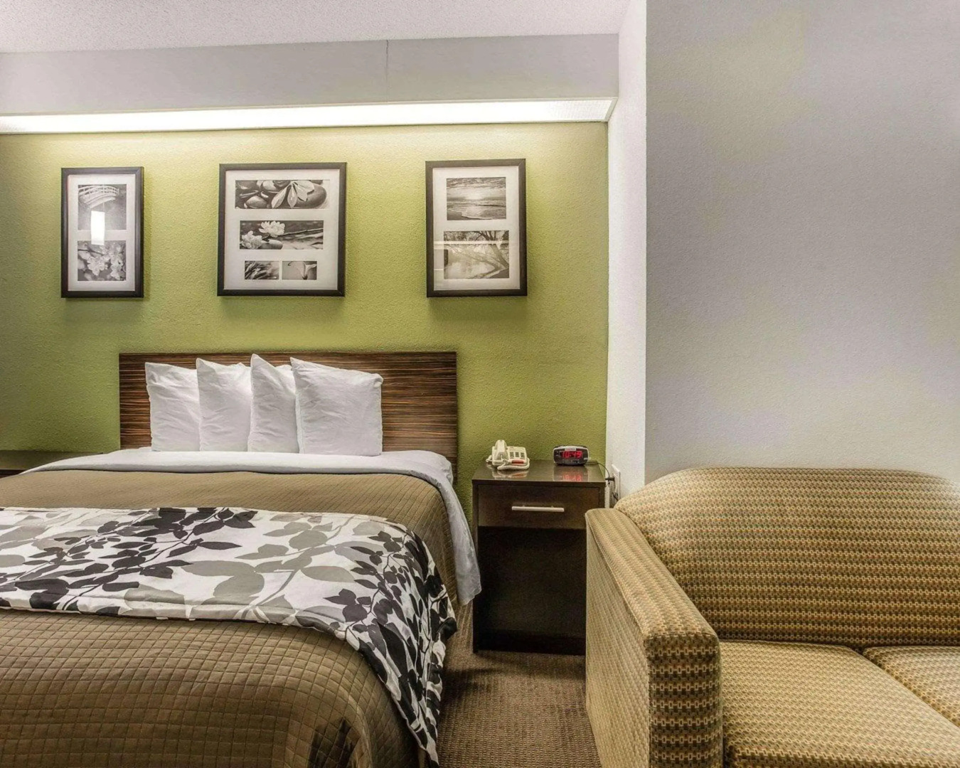 Sleep Inn at Greenville Convention Cente