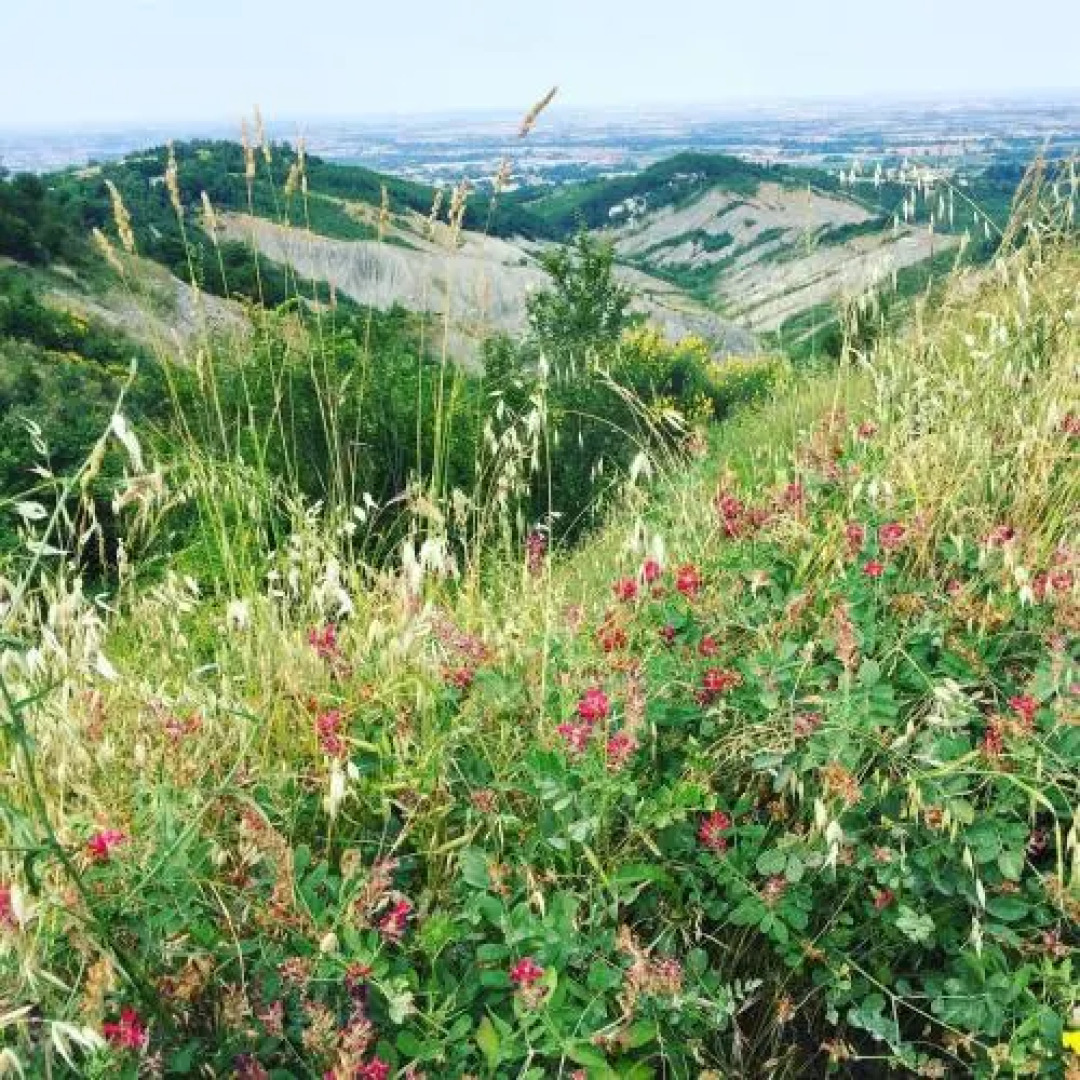 La Palazzina di Ciagnano
