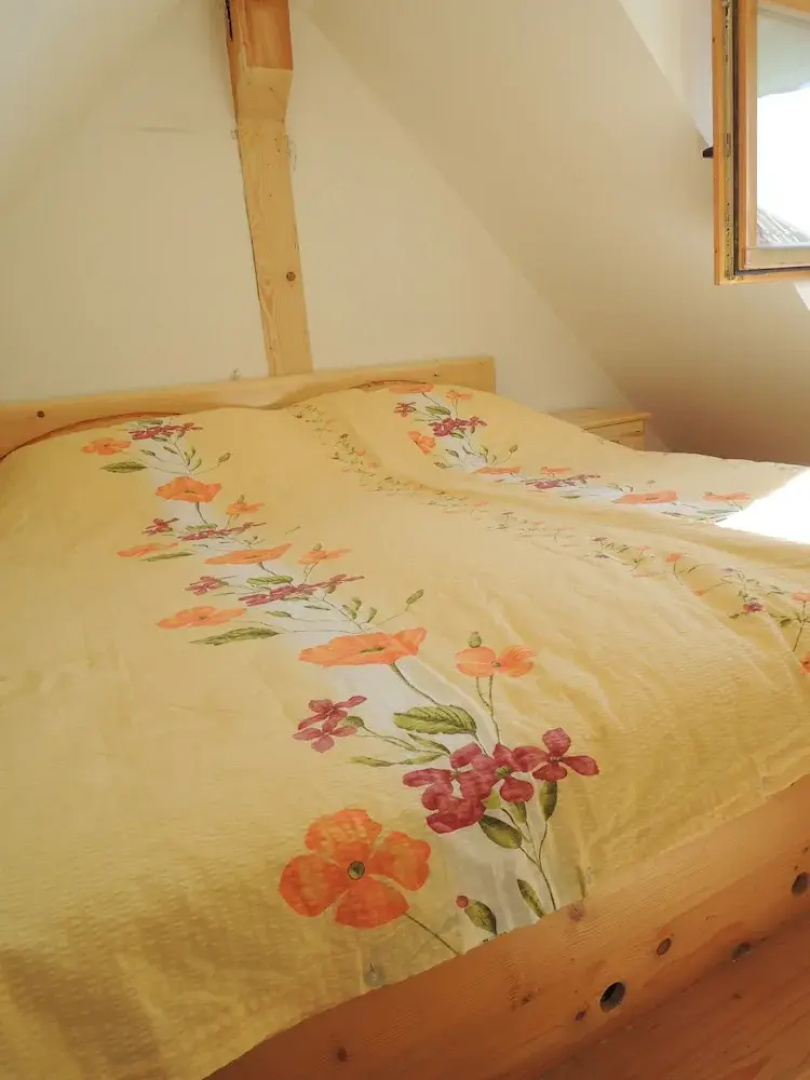 Vineyard cottage Janko in Metka