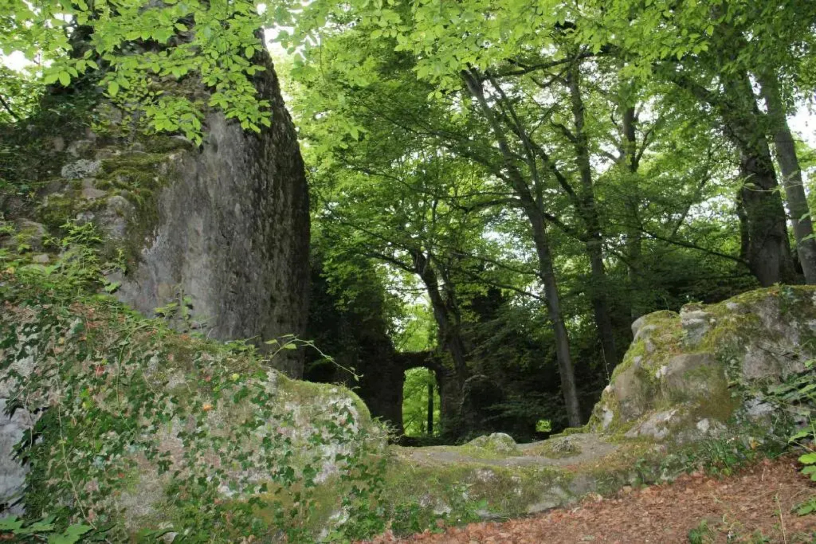 WASSERSTELZ Historisches Genusshotel & Restaurant am Rhein