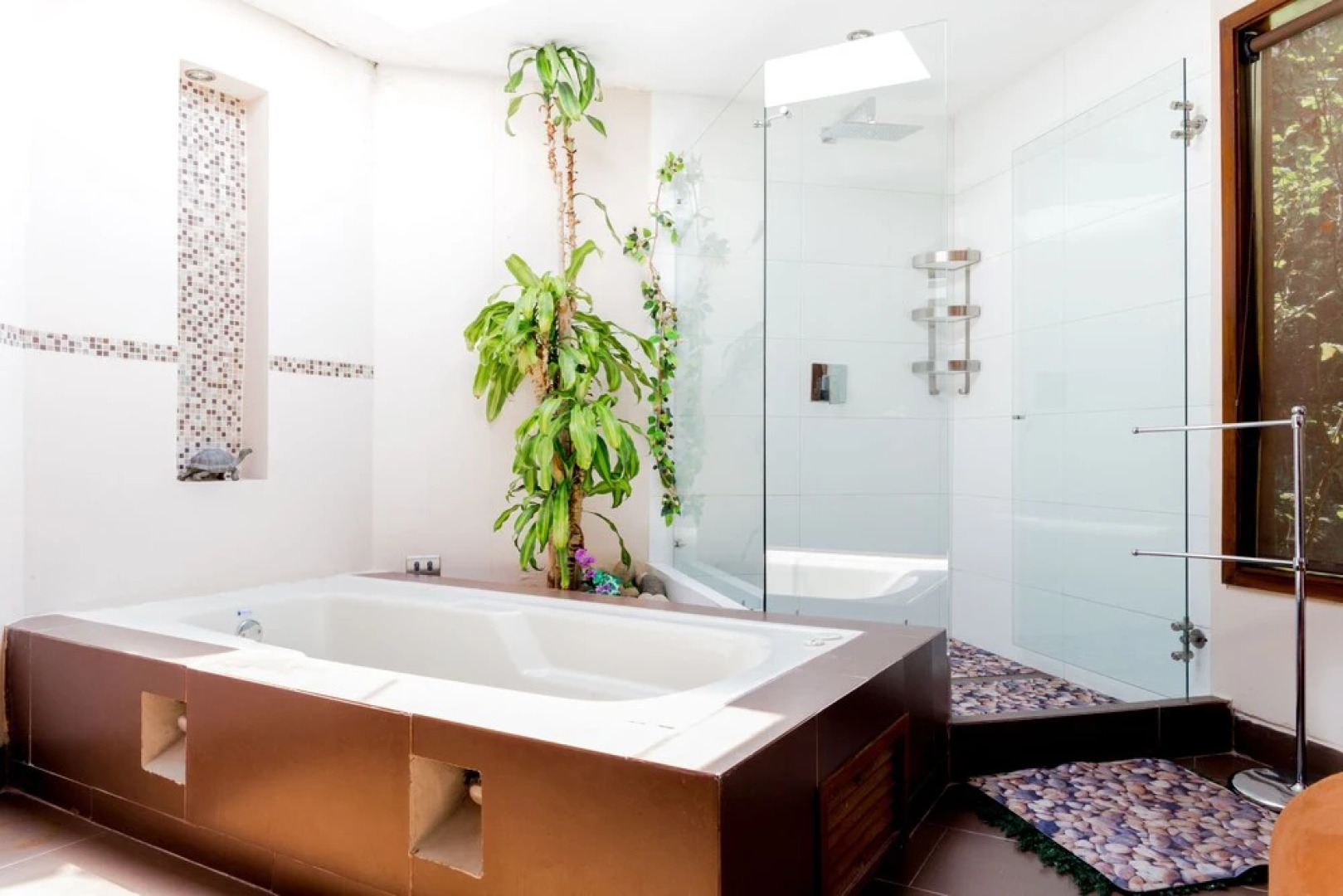 Cueva Del Oso By Nomad Guru