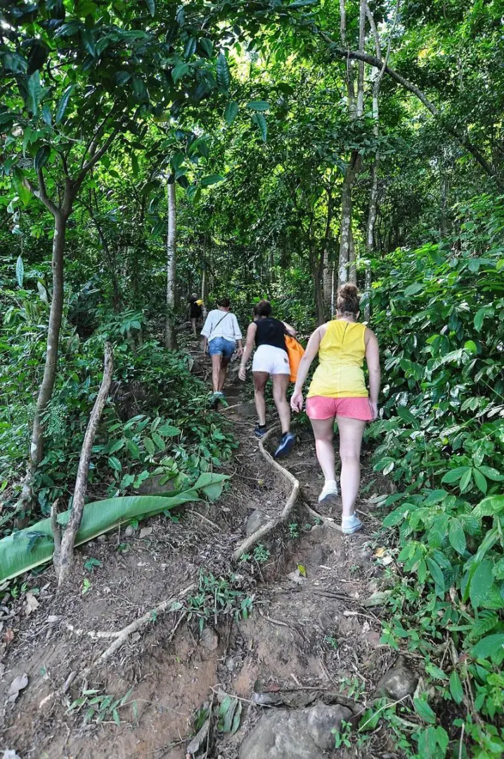 Phi Phi Relax Beach Resort