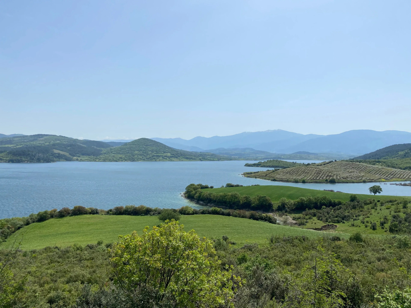 Eva Lavanda Kazdağları