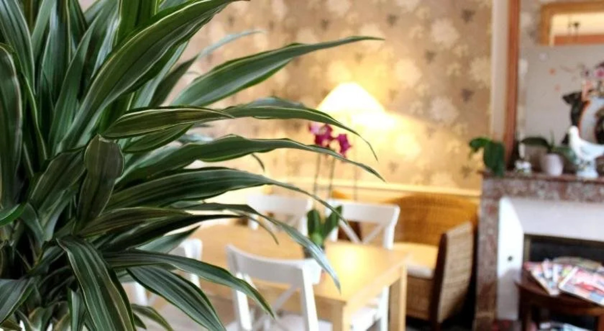 Hôtel les Aubépines