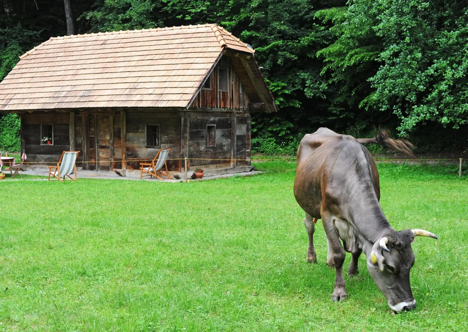 Turisticna Kmetija Seruga