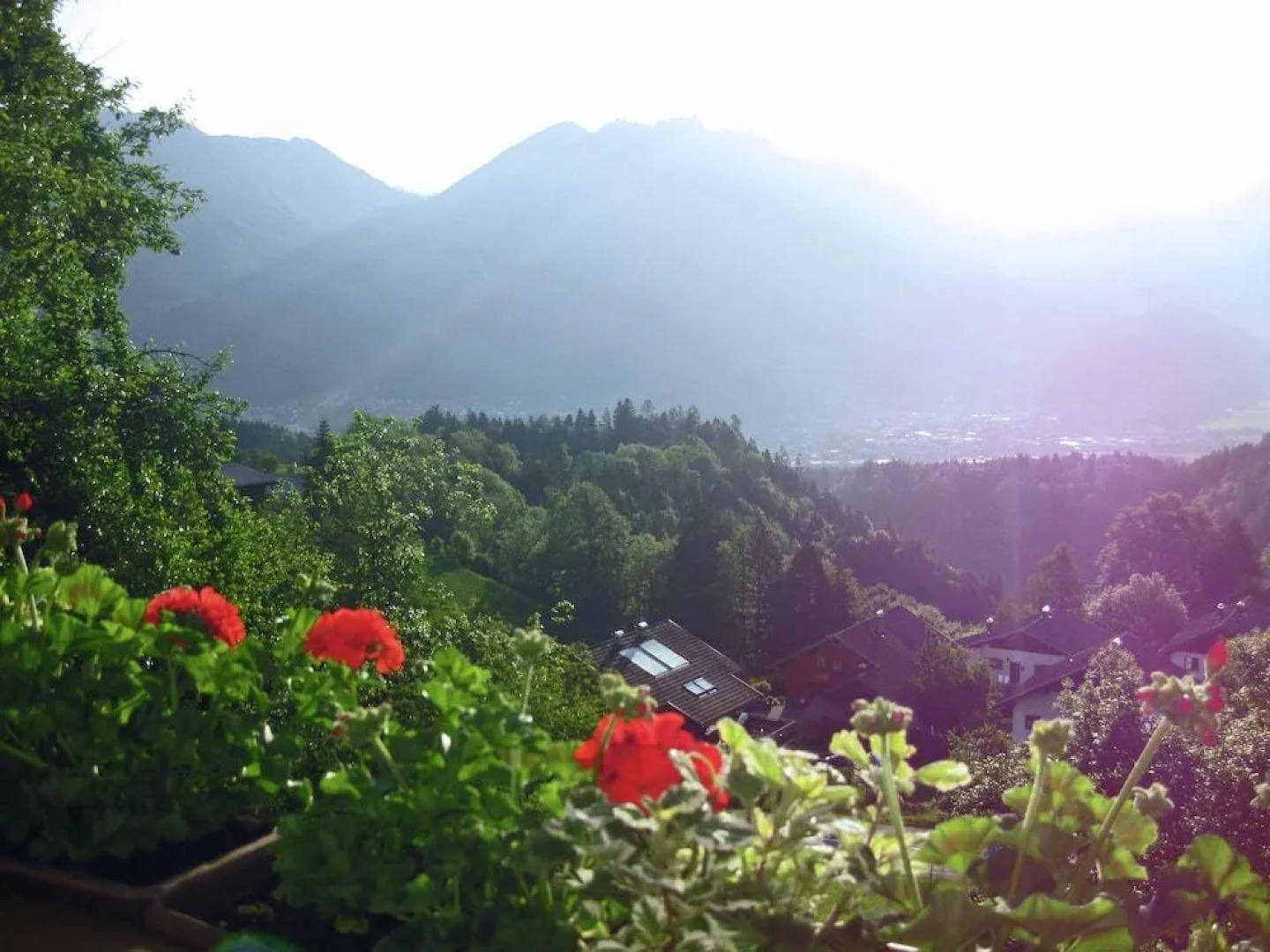 Charming Mansion Near Ski Area In Burserberg