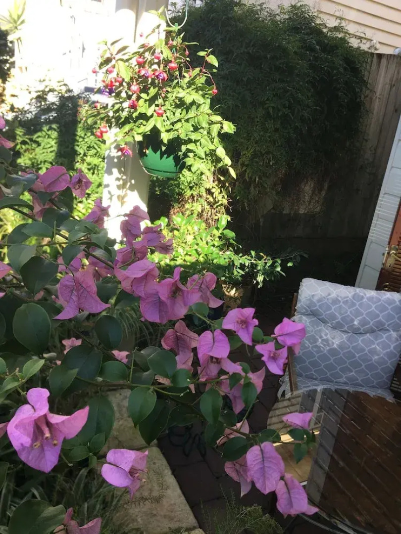 Swan Inn Bed and Breakfast