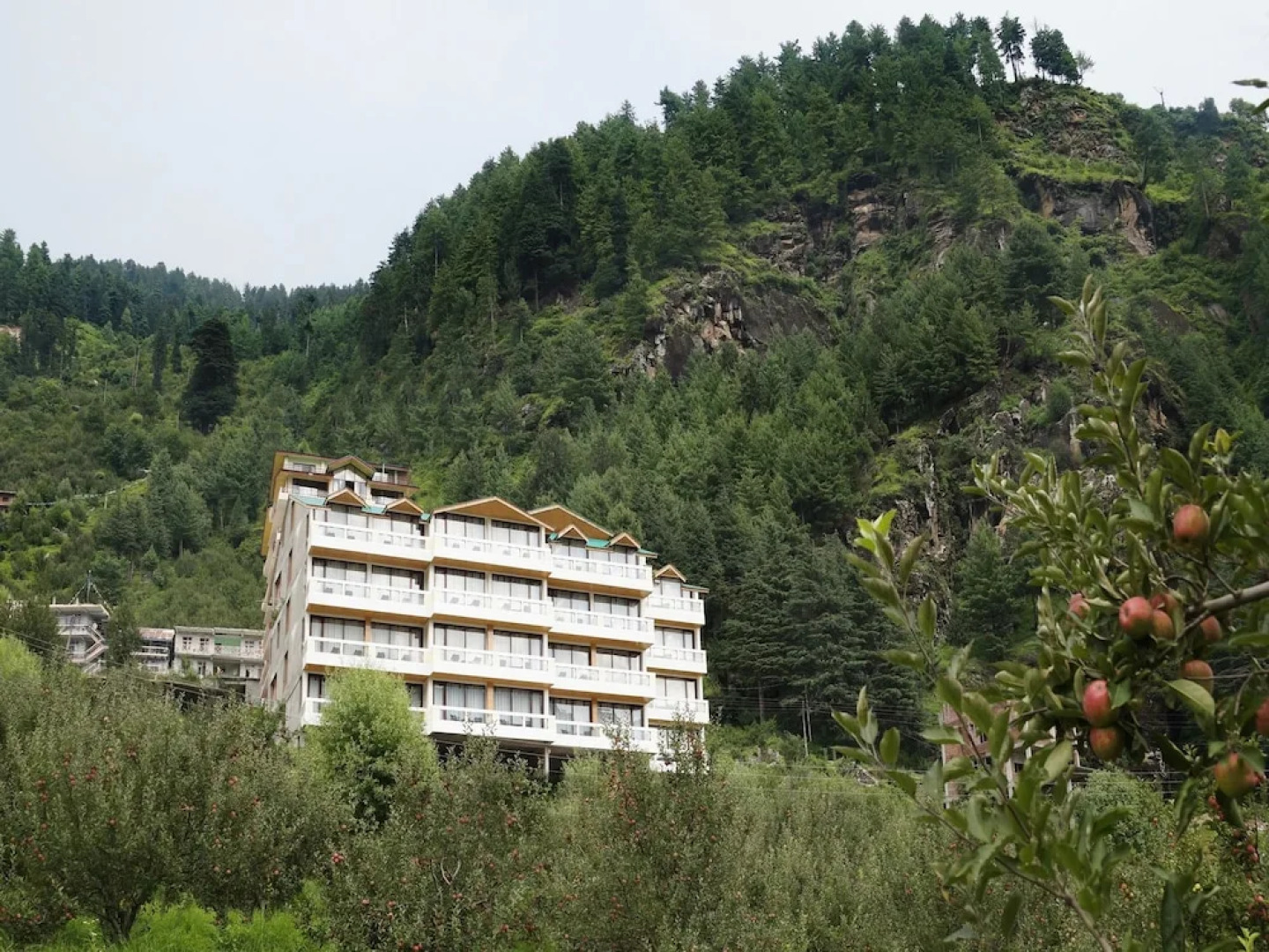 OYO Premium Jagatsukh Valley