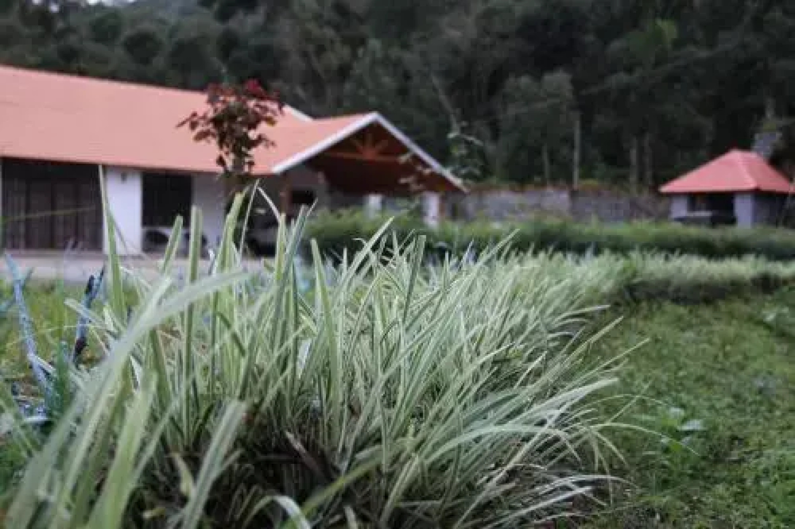 The Sattva - Nature Retreat