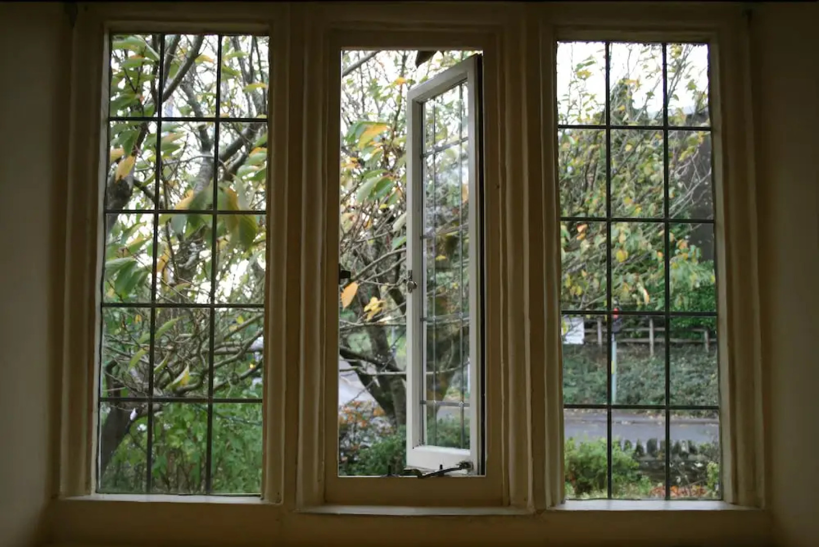 The Thatched Cottage Inn