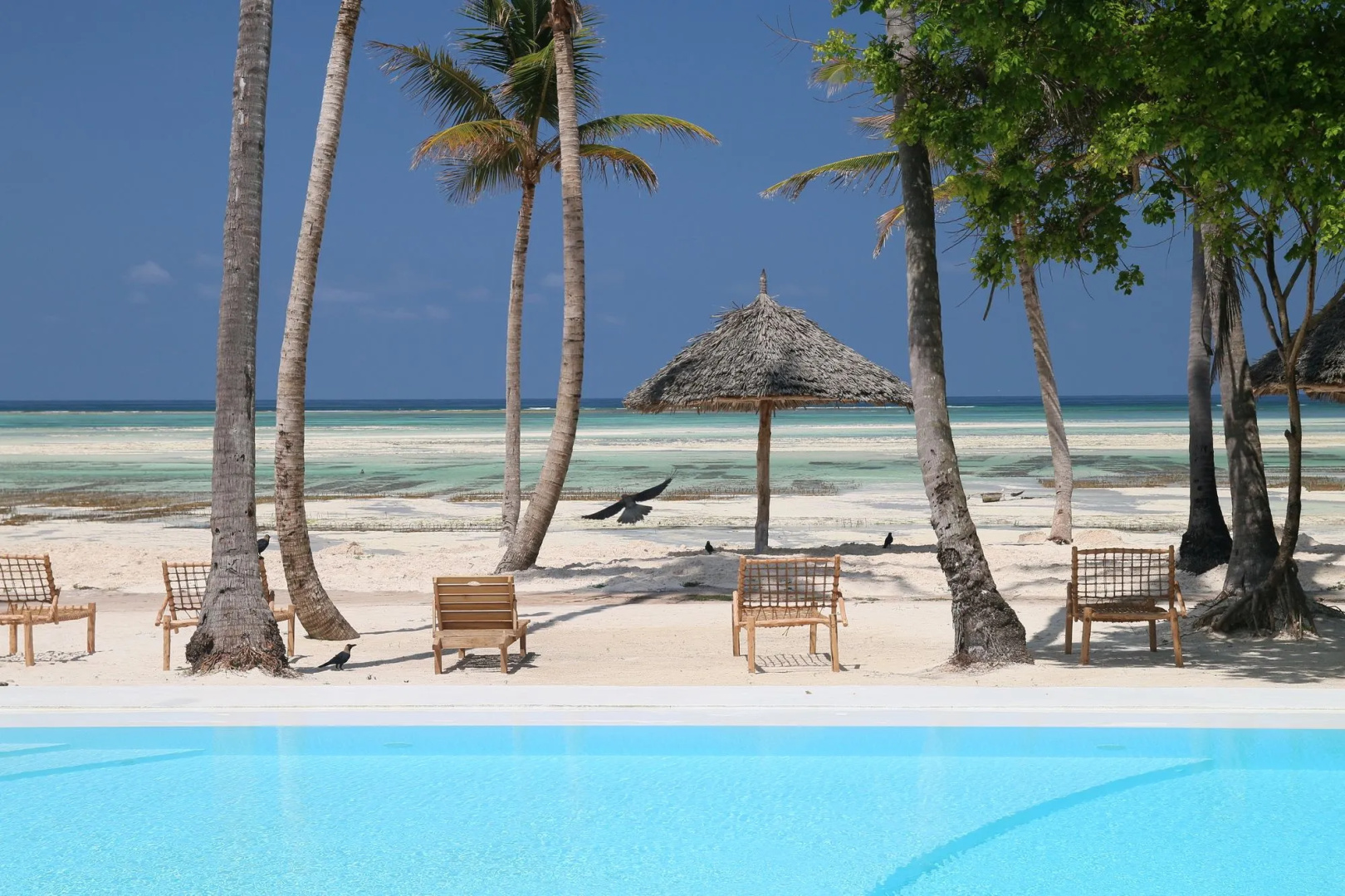 Blue Moon Resort