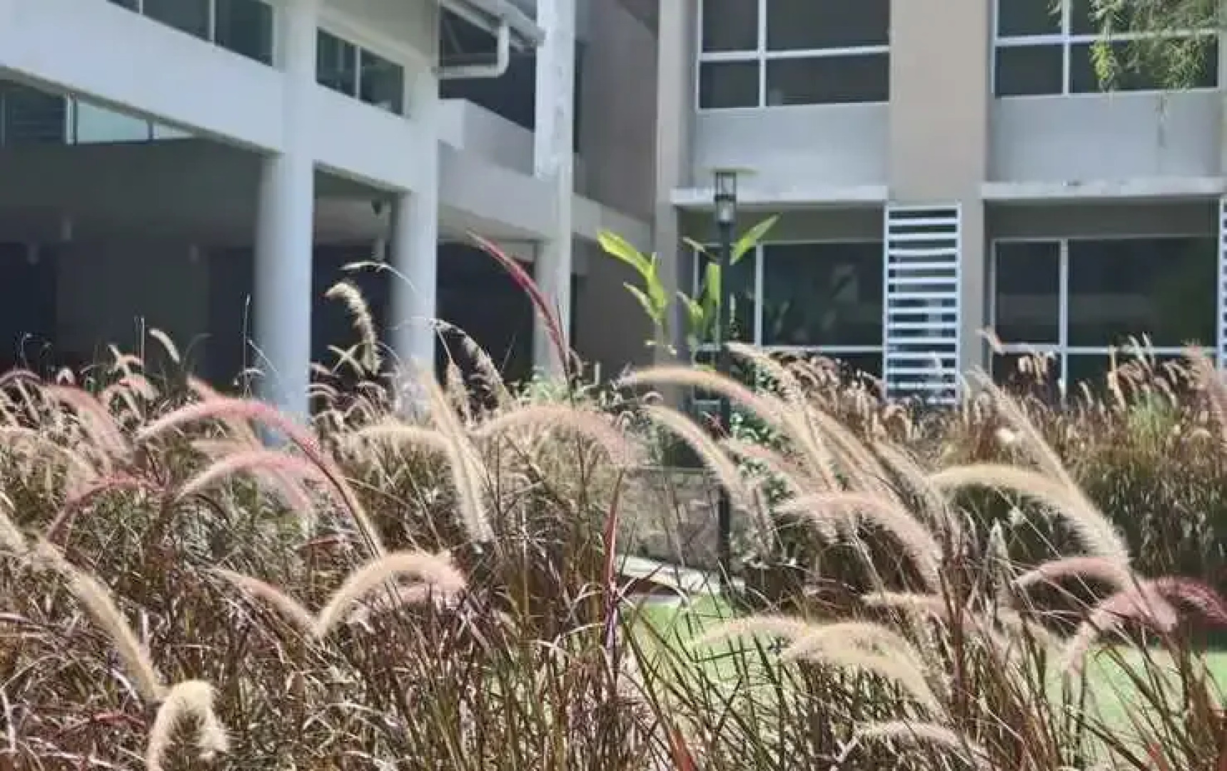 Cherengin Hills Convention & Spa Resort