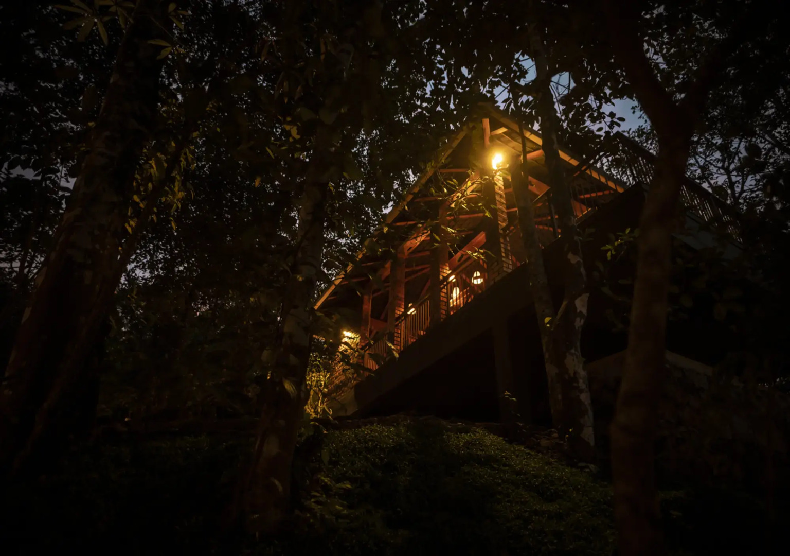 Chembarathi Wayanad Boutique Nature Resort