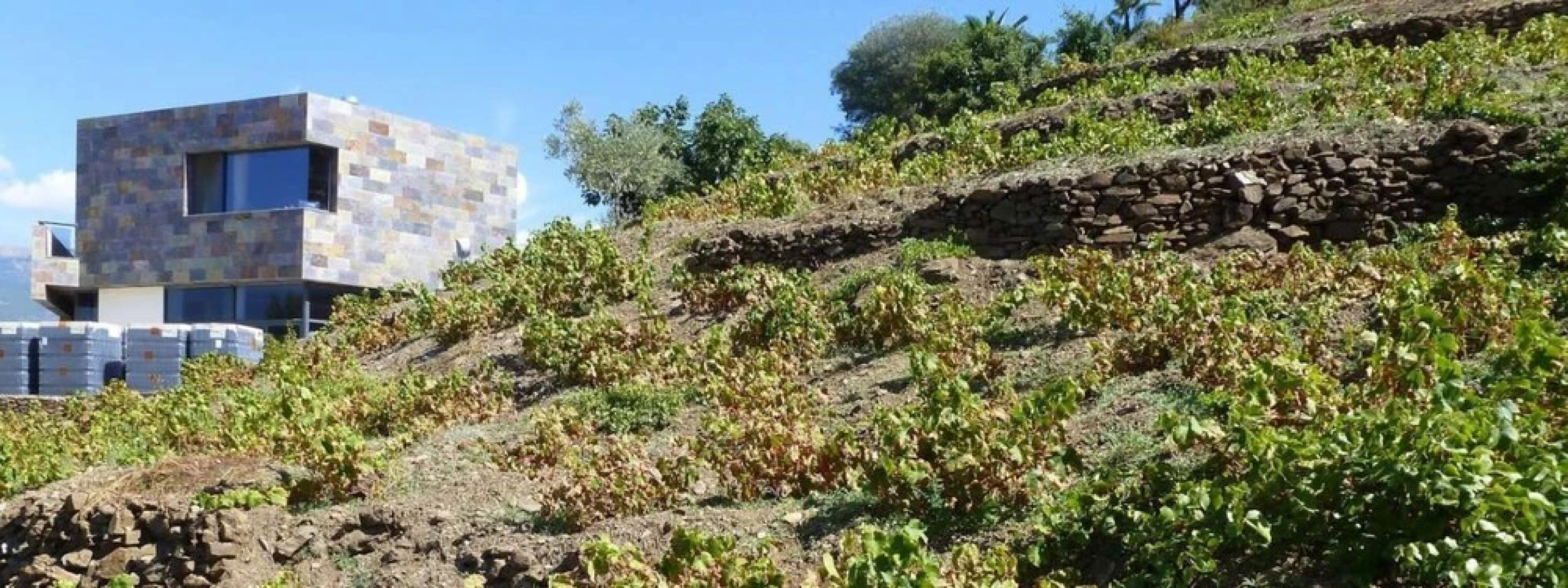 Casa Rural Cómpeta Piscina Barbacoa y Vista