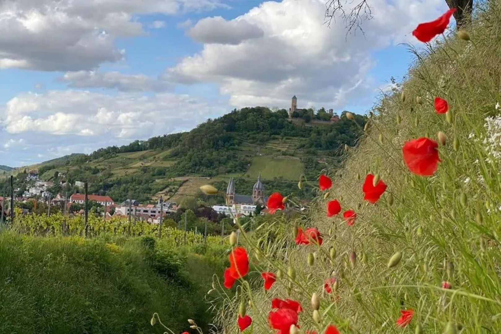 Acapella Suite Barcarolle 60qm, direkt am Weinberg, Altstadt, Netflix inklusive