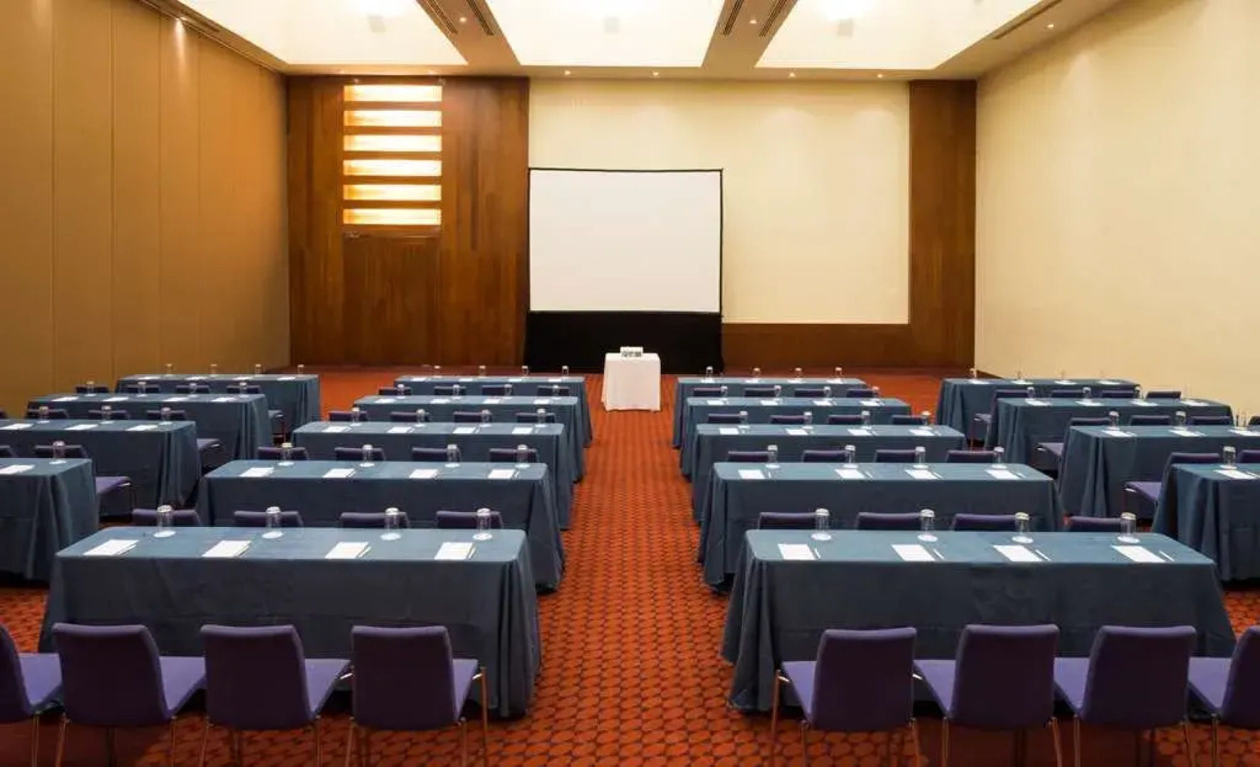 Barceló Monterrey Valle