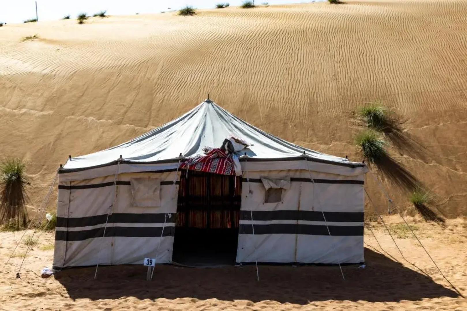 Sand Delight Desert Camp