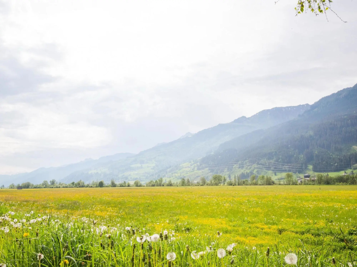 Chalet in Niedernsill Near Ski Slopes