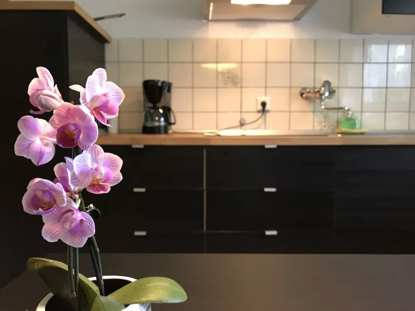 Apartmenthaus Marten