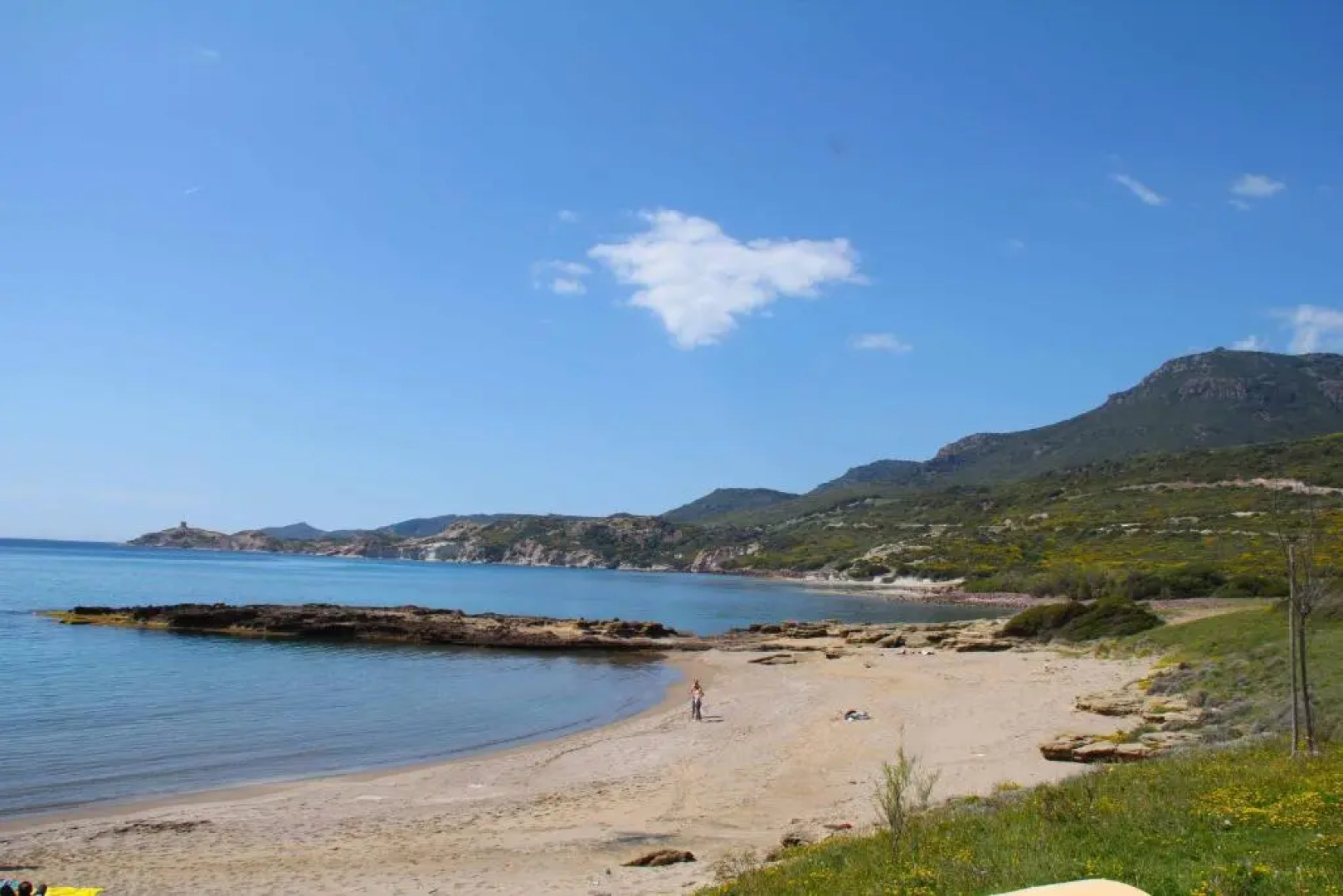 Antas