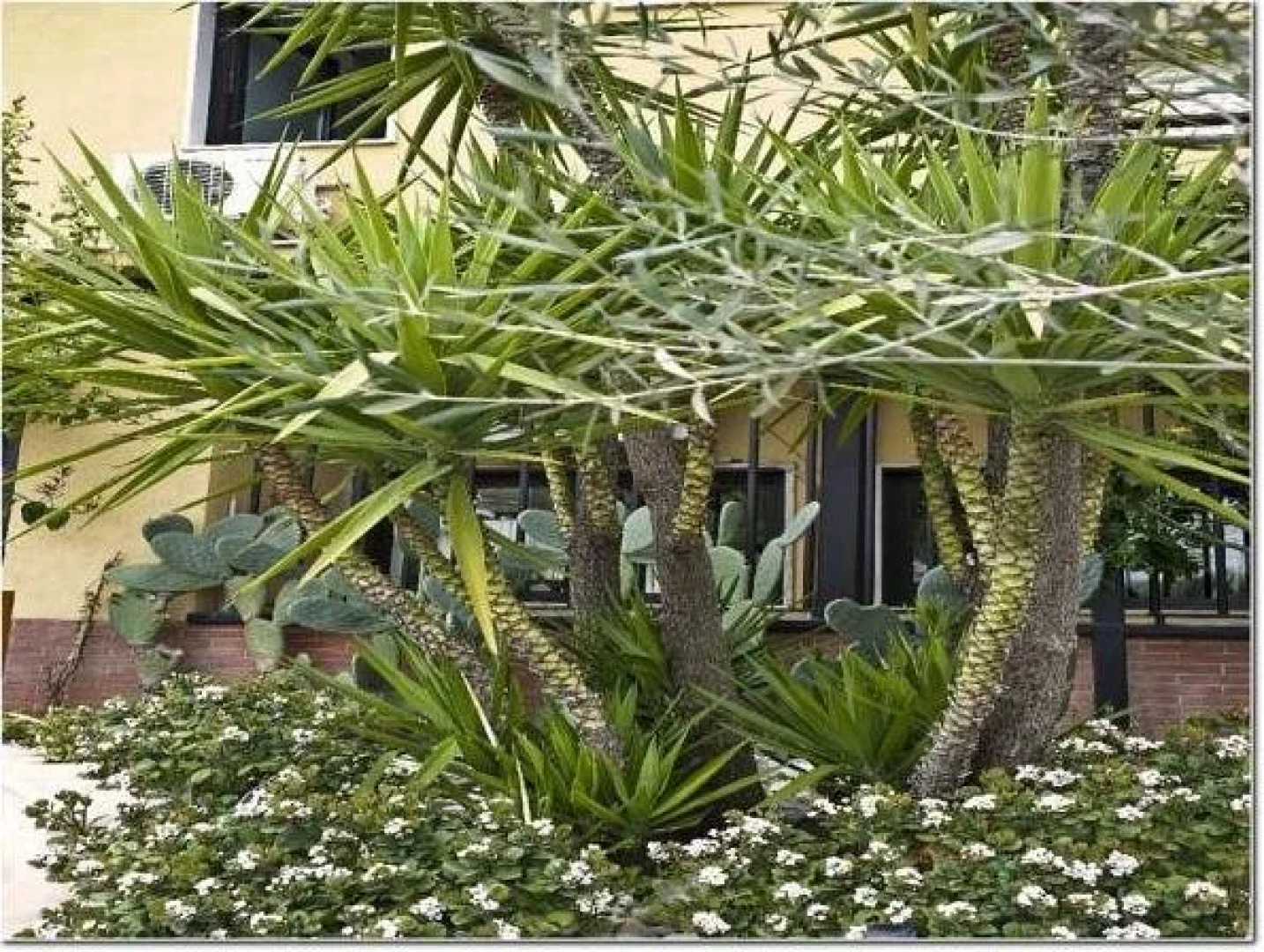 Hotel Veronese