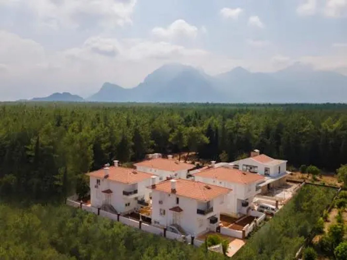 orman manzaralı havuzlu villa