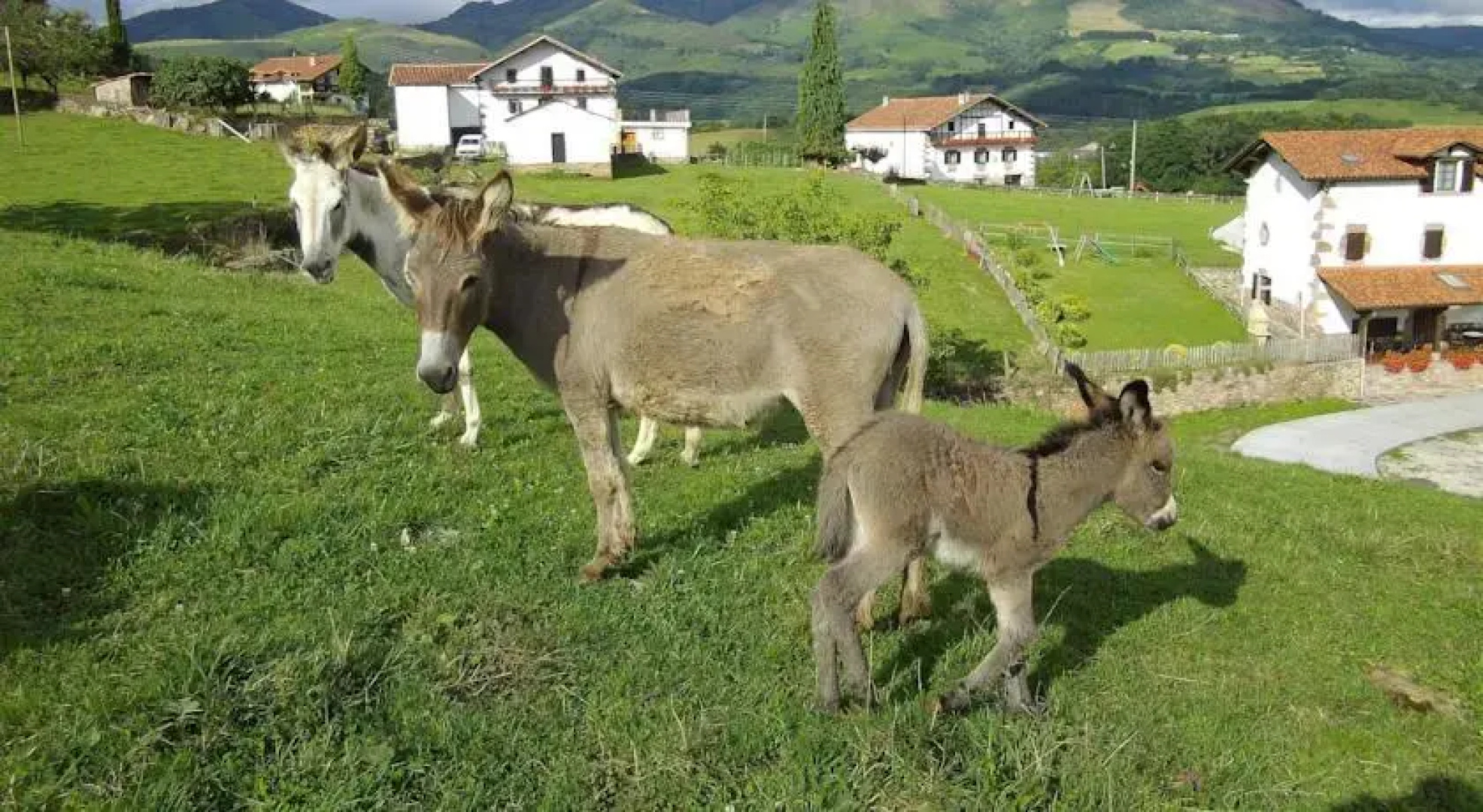Casa Rural Iribarrenea