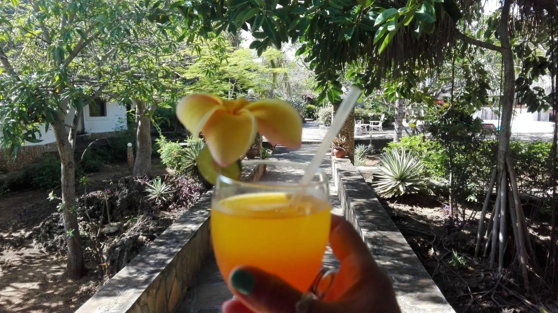 Flamingo Villas Resort