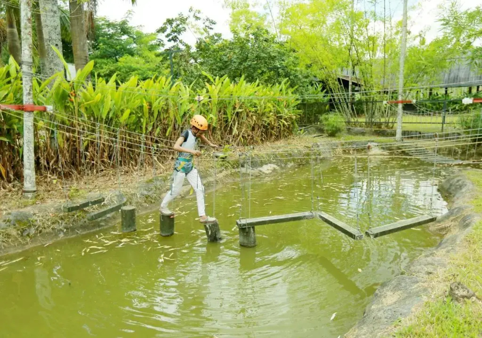 OYO Premium Hill Stays Kolagappara