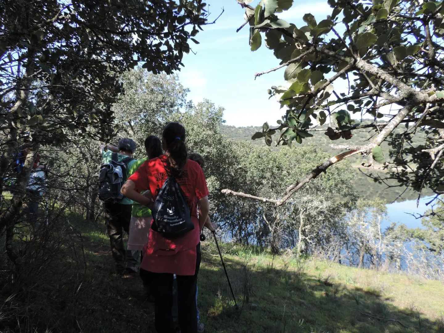 Apartamentos Barbancho