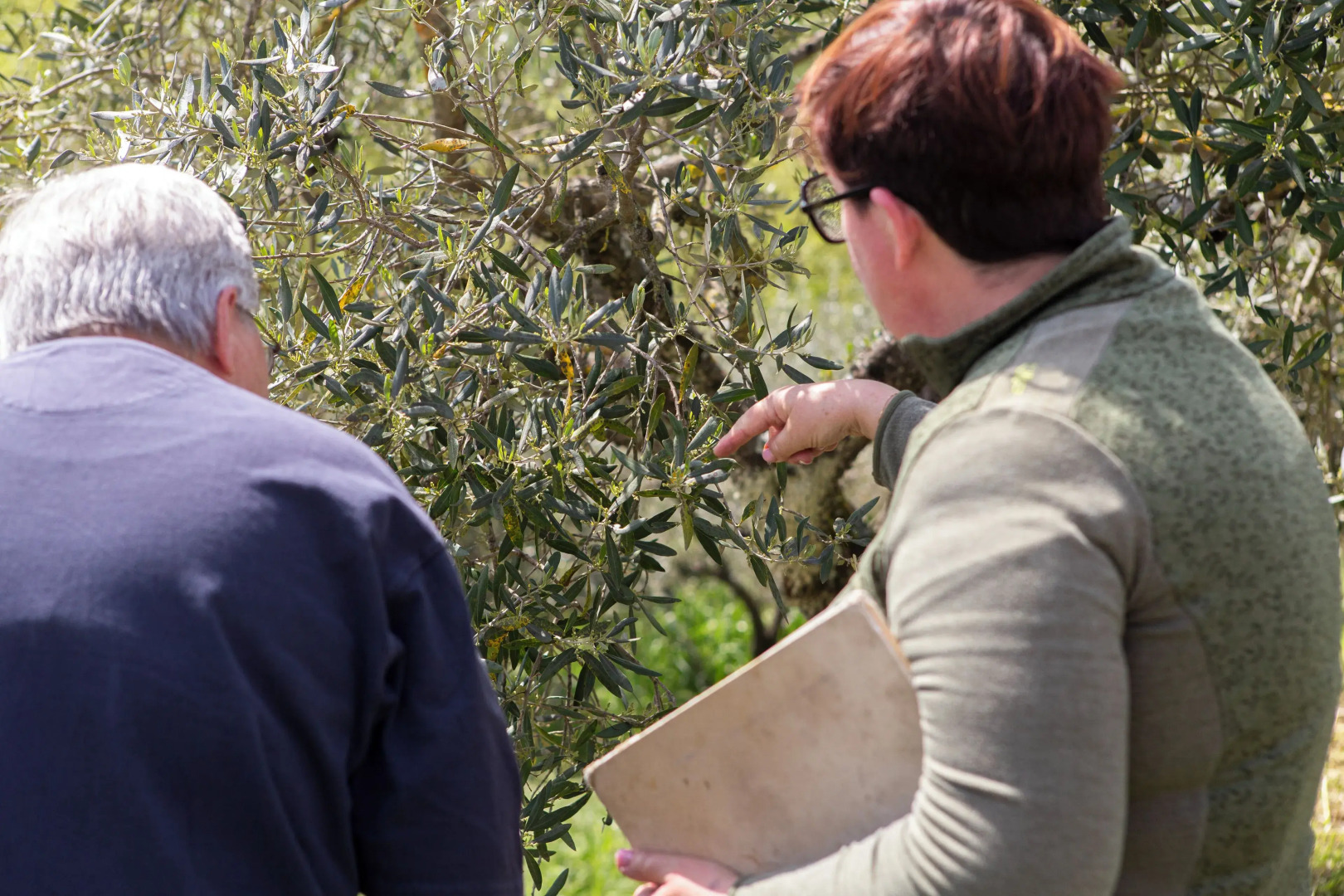 Agriturismo Le Ceregne bio