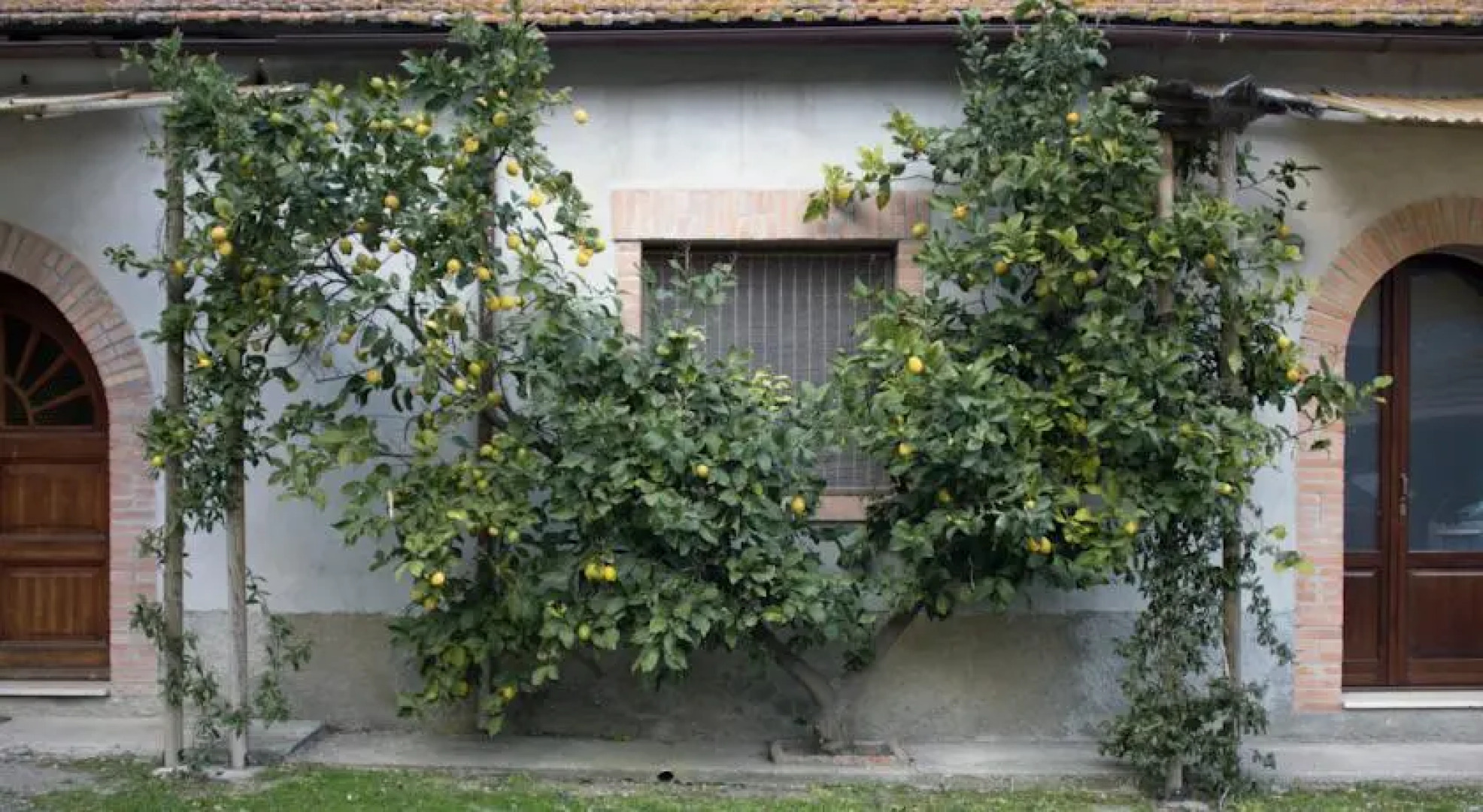 Agriturismo Monte Alzato