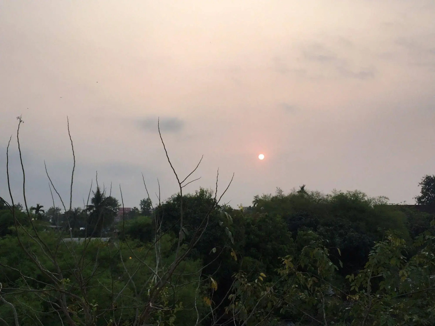 Paradise Park Laemchabang