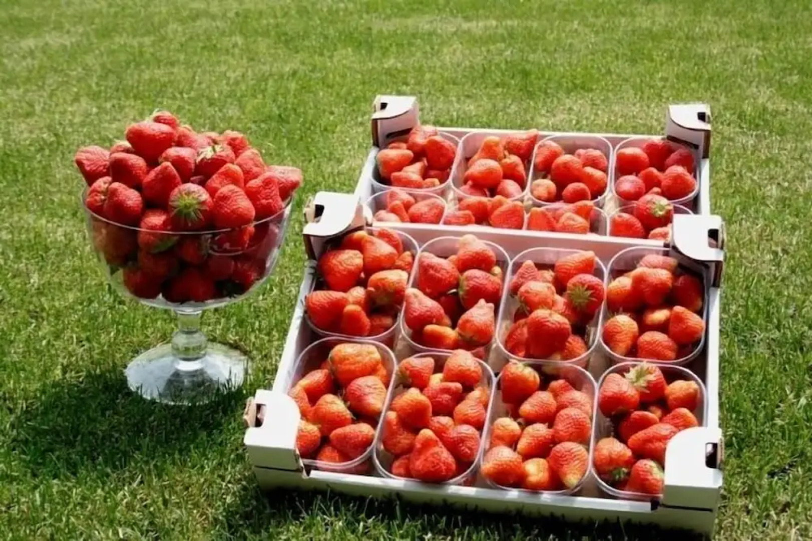 Corte Breda Agriturismo Bed & Breakfast