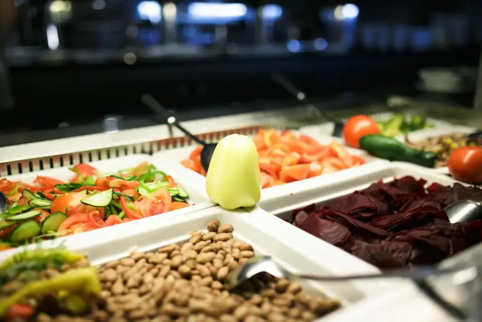 Hotel Vitarium Superior – Terme Krka