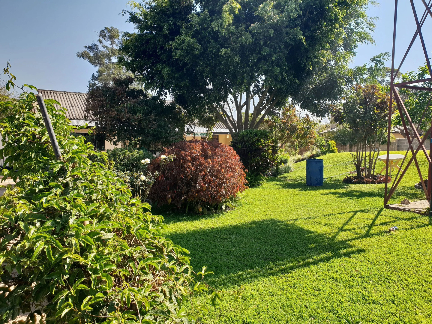 The Oasis Evergreen Lodge