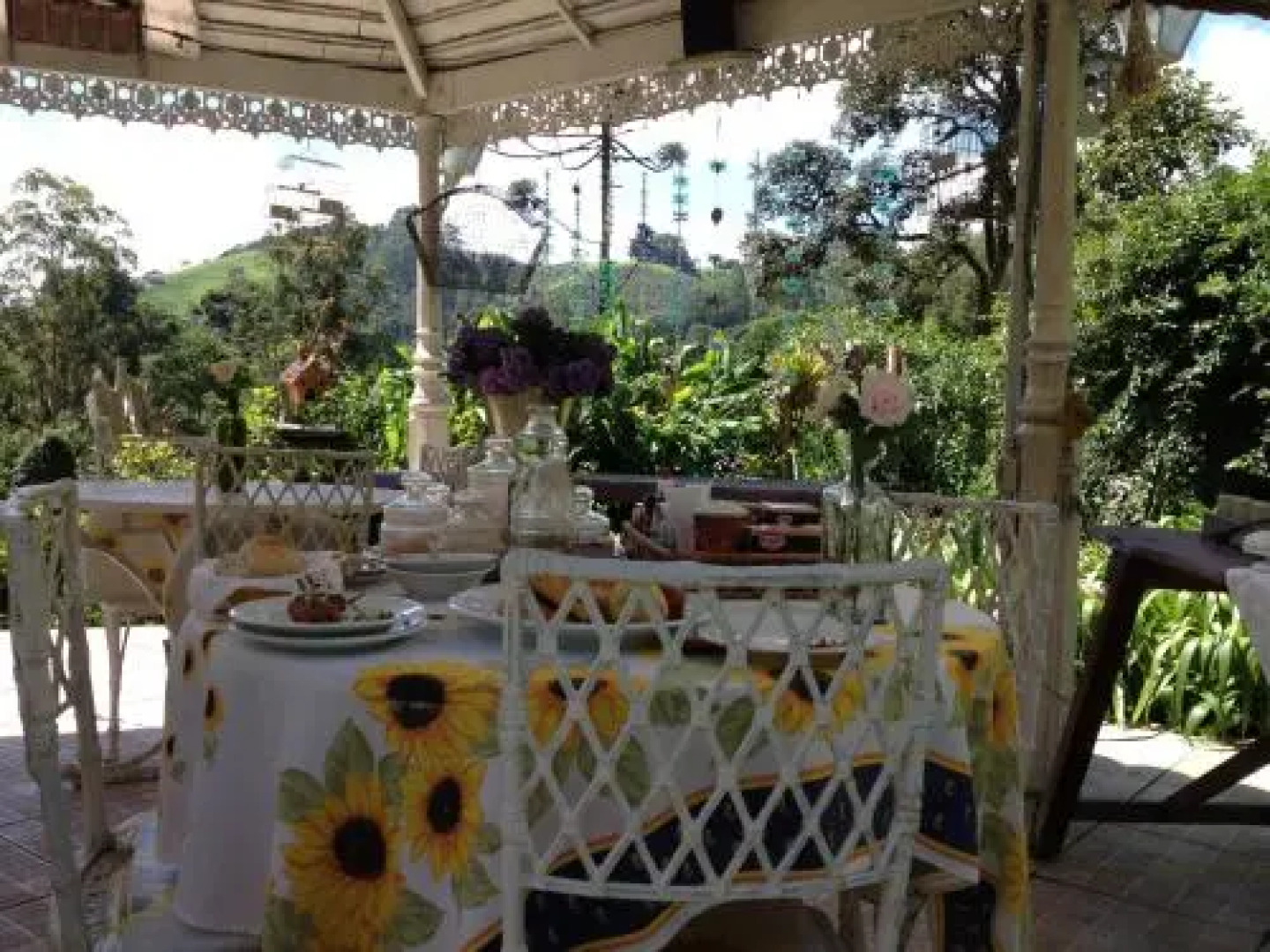 Verde que te quero Ver-te