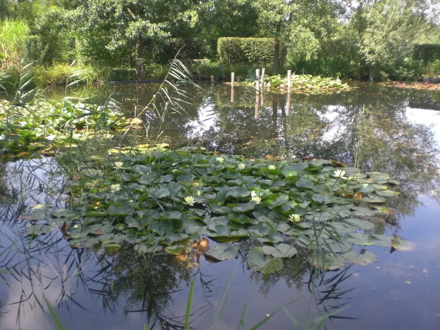 Hotel Artrium am Park